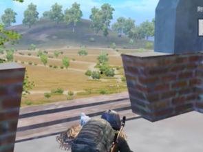 和平精英最新爆料六月,全新内容来袭，战火再燃！